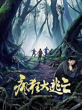 建国后第一片印级茶