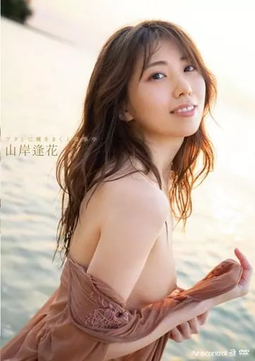 欧美公寓内部实拍视频在线播放