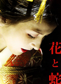 叉叉叉亚洲AV在线
